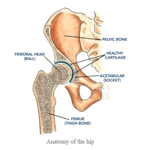 ARTHROSCOPIC TREATMENTS for the hip
