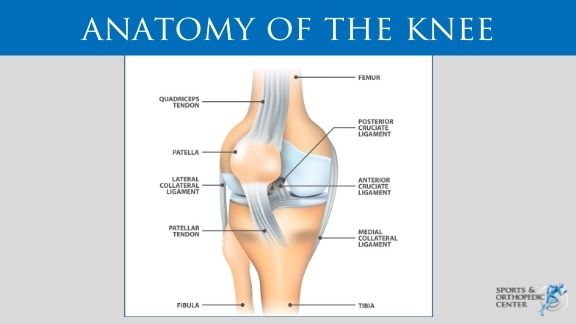 Arthroscopy Anterior/Posterior Ligament Reconstruction